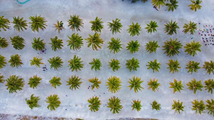 Local place in F. Nilandhoo